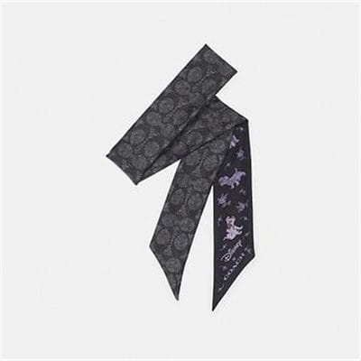 Fashion 4 Coach DISNEY X COACH DALMATIAN PUPS FLORAL PRINT SKINNY SCARF