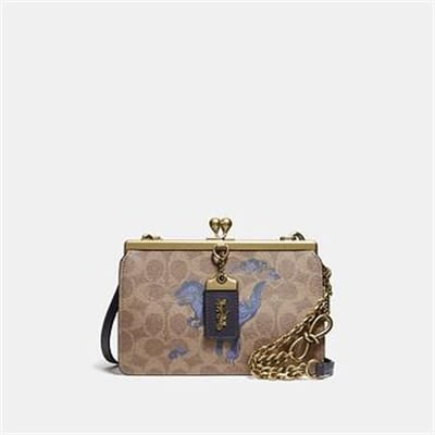 Fashion 4 Coach DOUBLE FRAME BAG 19 IN SIGNATURE CANVAS WITH REXY BY ZHU JINGYI