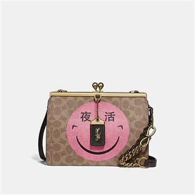 Fashion 4 Coach DOUBLE FRAME BAG IN SIGNATURE CANVAS WITH REXY BY YETI OUT