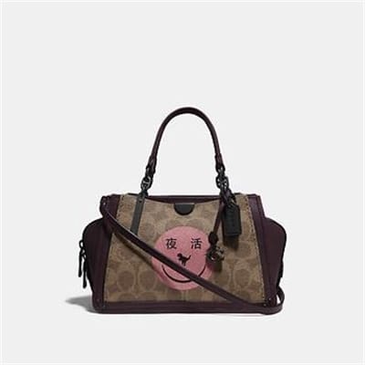 Fashion 4 Coach DREAMER 21 IN SIGNATURE CANVAS WITH REXY BY YETI OUT