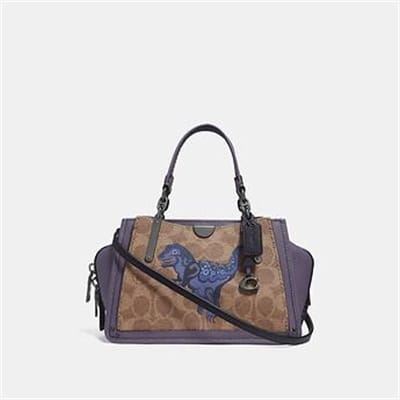 Fashion 4 Coach DREAMER 21 IN SIGNATURE CANVAS WITH REXY BY ZHU JINGYI