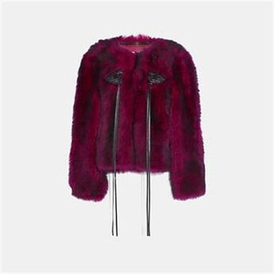 Fashion 4 Coach GLAM PUNK SHEARLING JACKET