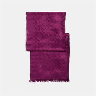 Fashion 4 Coach SIGNATURE METALLIC STOLE