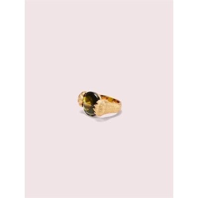 Fashion 4 - house cat double paw ring
