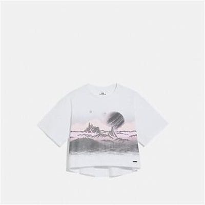 Fashion 4 Coach LANDSCAPE T-SHIRT