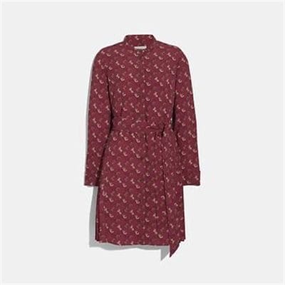 Fashion 4 Coach HORSE AND CARRIAGE PRINT PLEATED SHIRT DRESS