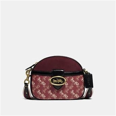 Fashion 4 Coach KAT CROSSBODY WITH HORSE AND CARRIAGE PRINT