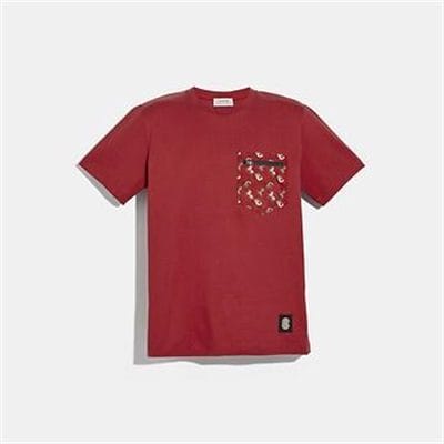 Fashion 4 Coach LUNAR NEW YEAR NYLON DETAIL T-SHIRT