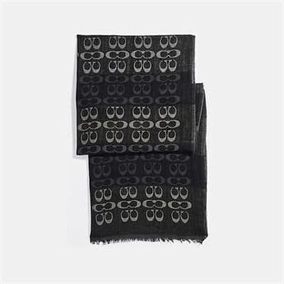 Fashion 4 Coach SIGNATURE OMBRE STRIPE OBLONG SCARF