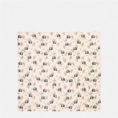 Fashion 4 Coach Dog Flower Oversized Square