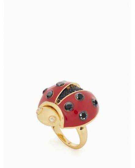 Fashion 4 - little lady bugring