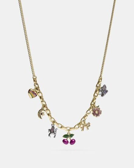 Fashion 4 Coach Charming Charm Necklace