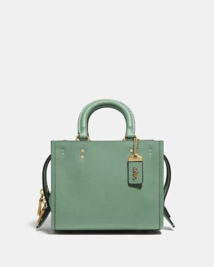 Fashion 4 Coach Rogue 17