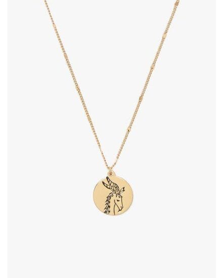 Fashion 4 - in the stars capricorn pendant