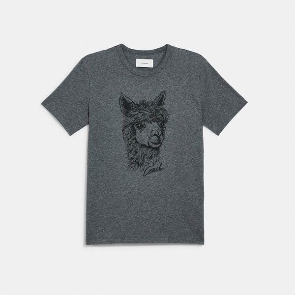 Fashion 4 Coach Alpaca Graphic T-Shirt