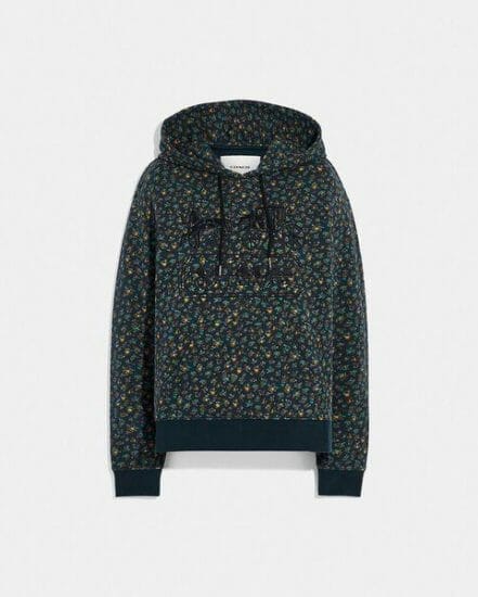 Fashion 4 Coach Embroidered Horse And Carriage Hoodie In Organic Cotton