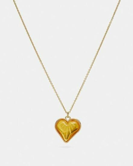 Fashion 4 Coach "Heart Chain Necklace