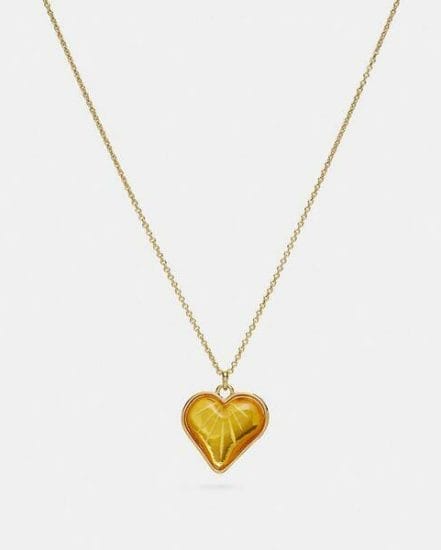 Fashion 4 Coach "Heart Chain Necklace