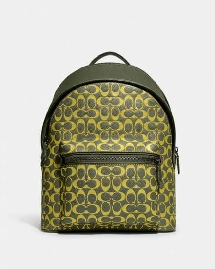 Fashion 4 Coach Charter Backpack In Signature Leather