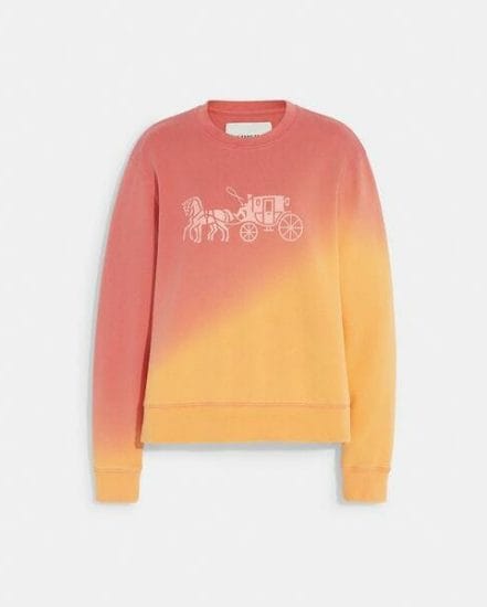 Fashion 4 Coach Ombre Horse And Carriage Crewneck In Organic Cotton