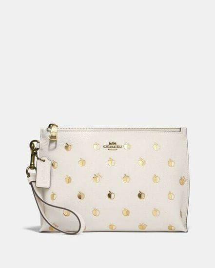 Fashion 4 Coach Charlie Pouch With Apple Print