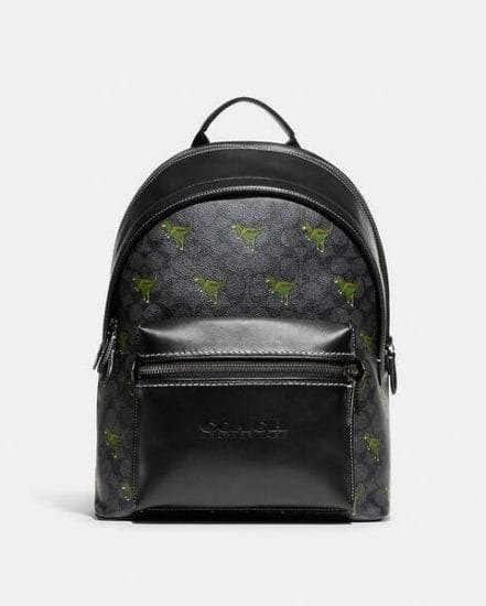 Fashion 4 Coach Charter Backpack In Signature Canvas With Rexy Print