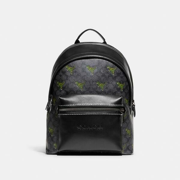 Fashion 4 Coach Charter Backpack In Signature Canvas With Rexy Print