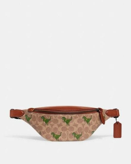 Fashion 4 Coach Charter Belt Bag 7 In Signature Canvas With Rexy Print