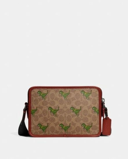 Fashion 4 Coach Charter Crossbody 24 In Signature Canvas With Rexy Print
