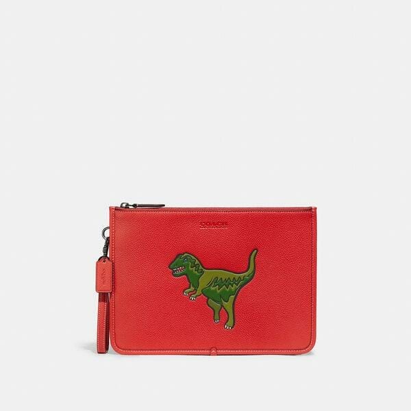 Coach on sale dinosaur pouch