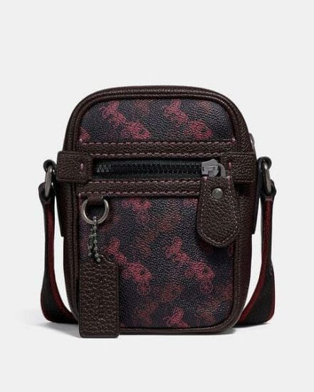 Fashion 4 Coach Dylan 10 With Horse And Carriage Print