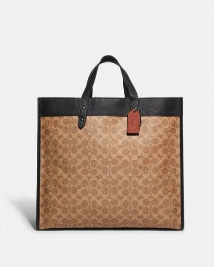 Fashion 4 Coach Field Tote 40 In Signature Canvas