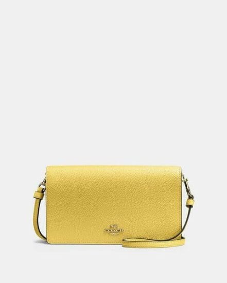 Fashion 4 Coach Hayden Foldover Crossbody Clutch