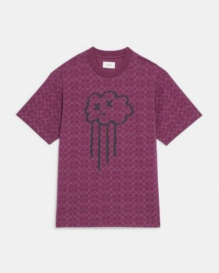 Fashion 4 Coach Rave Cloud T-Shirt In Organic Cotton