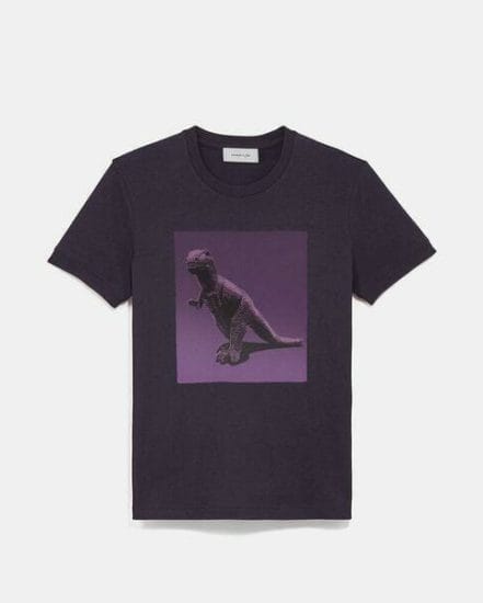 Fashion 4 Coach Rexy By Sui Jianguo T-Shirt