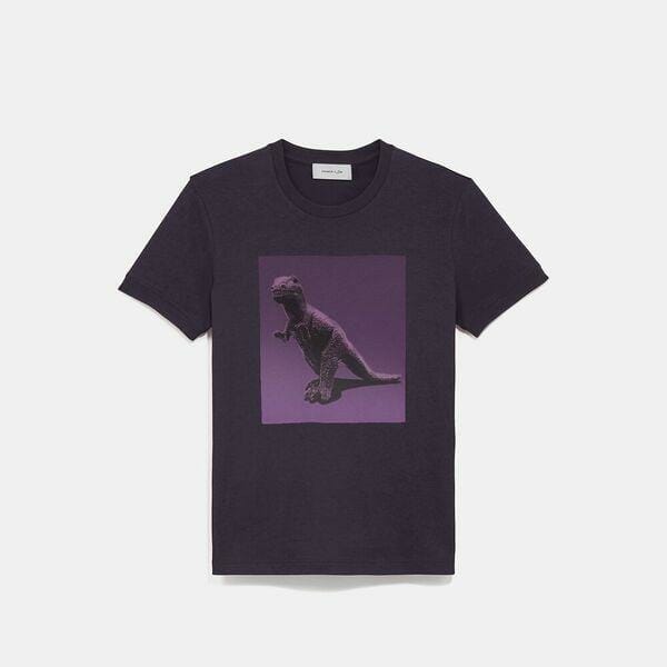 Fashion 4 Coach Rexy By Sui Jianguo T-Shirt