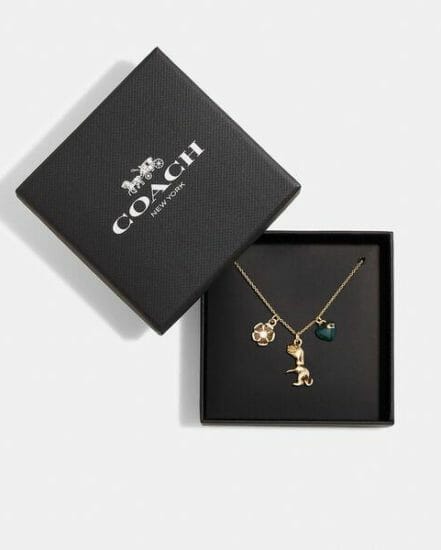 Fashion 4 Coach Rexy Heart Charm Necklace