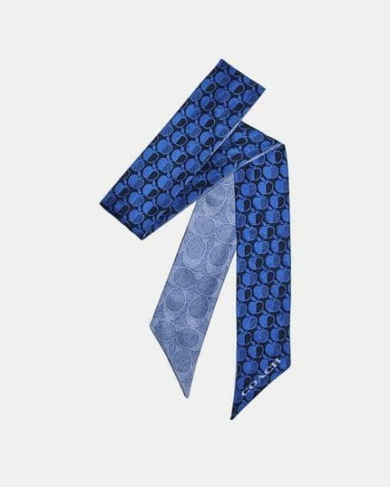 Fashion 4 Coach Signature Apple Print Skinny Scarf