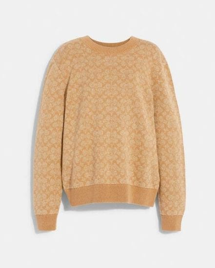 Fashion 4 Coach Signature Crewneck Sweater
