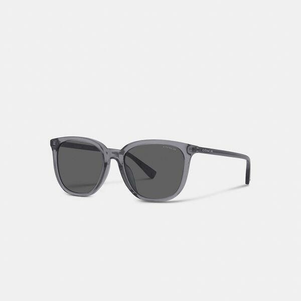 Fashion 4 Coach Signature Round Wayfarer Sunglasses