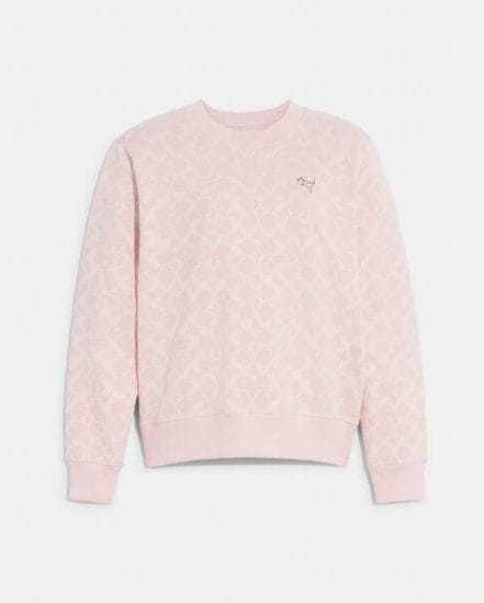 Fashion 4 Coach Signature Sweatshirt
