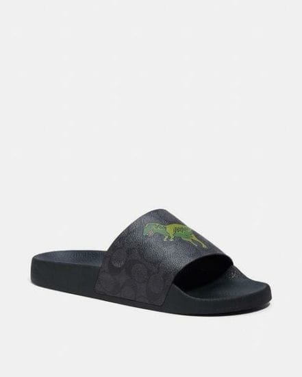 Fashion 4 Coach Slide In Signature Canvas With Rexy