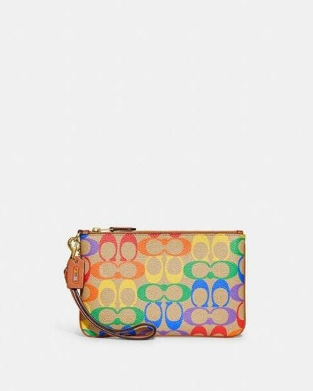 Fashion 4 Coach Small Wristlet In Rainbow Signature Canvas