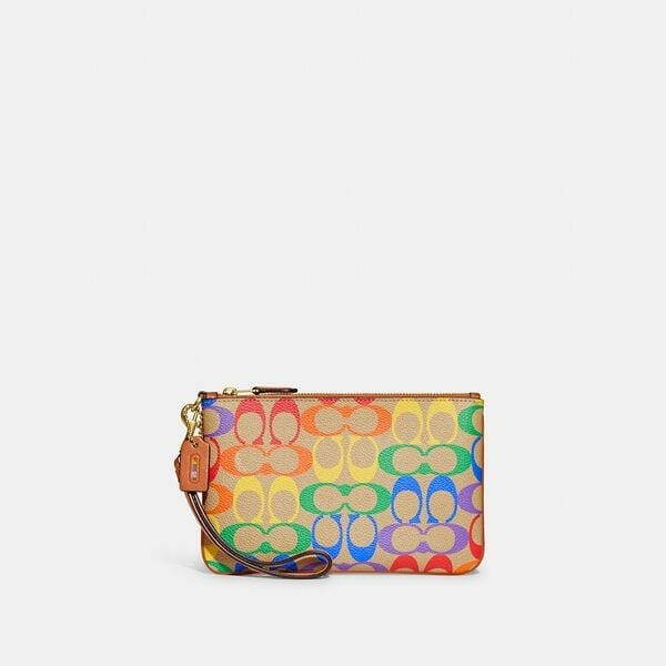 Fashion 4 Coach Small Wristlet In Rainbow Signature Canvas