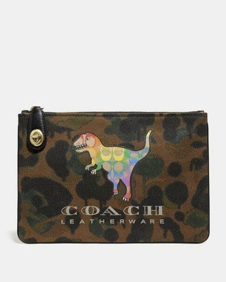 Fashion 4 Coach Turnlock Pouch 26 With Rainbow Signature Rexy