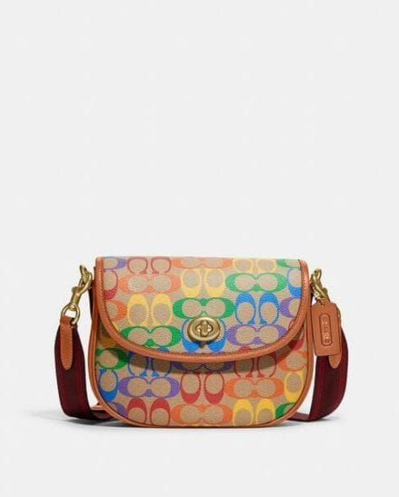 Fashion 4 Coach Willow Saddle Bag In Rainbow Signature Canvas