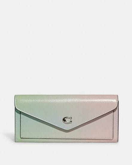 Fashion 4 Coach Wyn Soft Wallet With Ombre