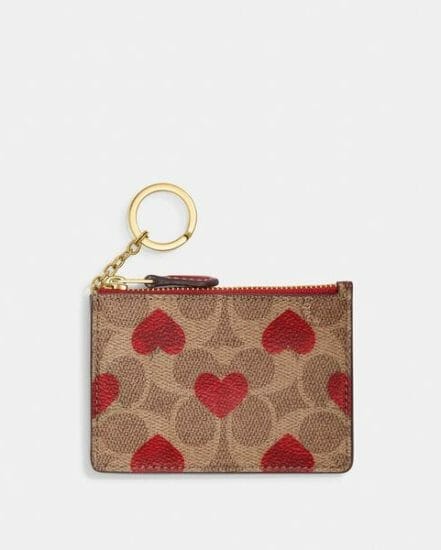 Fashion 4 Coach Mini Skinny Id Case In Signature Canvas With Heart Print