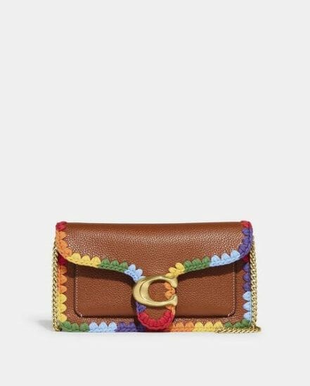 Fashion 4 Coach Tabby Chain Clutch With Rainbow Crochet