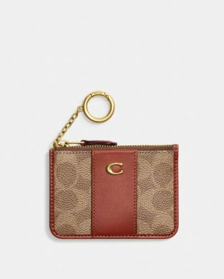 Fashion 4 Coach Mini Skinny Id Case In Signature Canvas